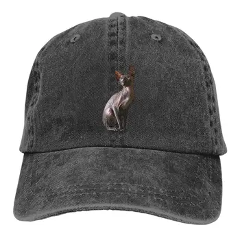 Канадский сфинкс Кошка Многоцветная шляпа Остроконечная женская кепка черная без меха Персонализированные шляпы для защиты козырька