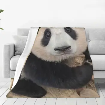 Одеяло FuBao Panda Fu Bao Из мягкого плюша, гипоаллергенные пледы для постельного белья, домашнего декора.